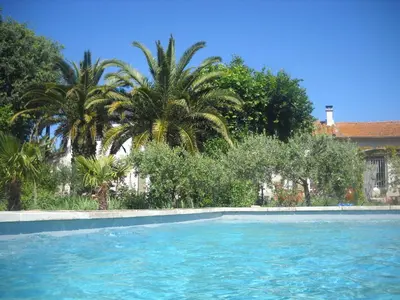 a swimming pool with palm trees and a house at Appartement dans Mas Provencal in Grans