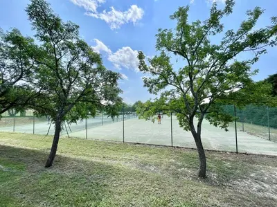 two trees in front of a tennis court at Le mas sous les étoiles in Joucas