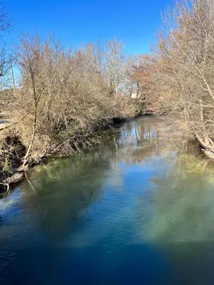 a river with trees on the side of it at L'appart des Anges in Althen-des-Paluds