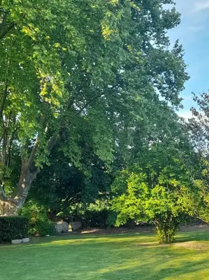a group of trees in a field with grass at Montjoïa Le gîte bleu in Le Thor
