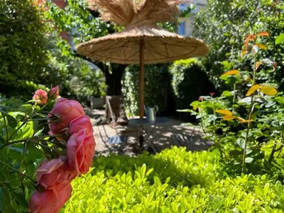 a garden with an umbrella and some pink flowers at Nid d'Ange en Provence in Cavaillon