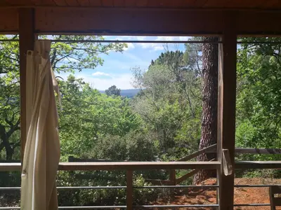 a window with a view of the woods at GÎTE DE L 'OCRE NICE VIEW in Villars