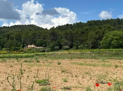a field with red flowers in front of a mountain at Jolie maison avec vue imprenable, piscine, jeu de boules, calme au cœur du Luberon in Les Cordiers