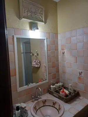 a bathroom with a sink and a mirror at Chambre d hôte Lavande 
