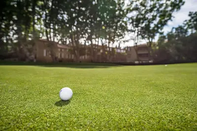 a white golf ball sitting on a green field at Moulin de Vernègues Hôtel & Spa in Mallemort