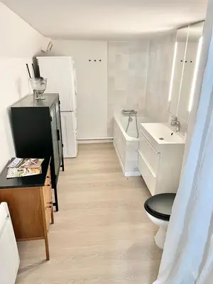 a small kitchen with a toilet and a sink at Maison de village Arty et terrasse au calme in Lourmarin