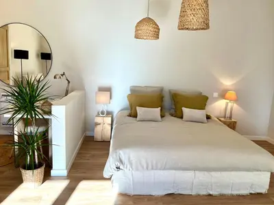 a bedroom with a large bed and a mirror at Charmante maisonnette avec jardin et piscine in Aix-en-Provence