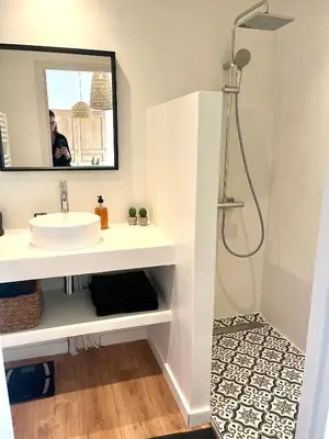 a bathroom with a sink and a shower at Charmante maisonnette avec jardin et piscine in Aix-en-Provence
