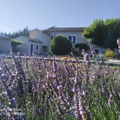 Le Mas des Calus Chambres d'hôtes
