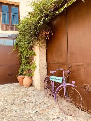 a purple bike parked next to a building at B&B Temps Suspendu Provence in Pernes-les-Fontaines