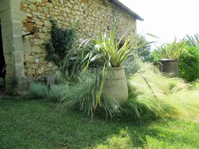 a garden with plants in a pot next to a building at Le Mas du Fort in Gargas