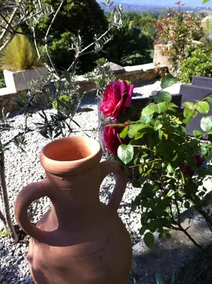 a clay vase sitting next to a red rose at Le Mas du Fort in Gargas