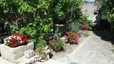 a garden with red flowers and plants at Mas Grimaud - Gîte- Studio et chambres d'hôtes familiales in Eygalières