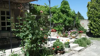 a garden with flowers and plants in a yard at Mas Grimaud - Gîte- Studio et chambres d'hôtes familiales in Eygalières
