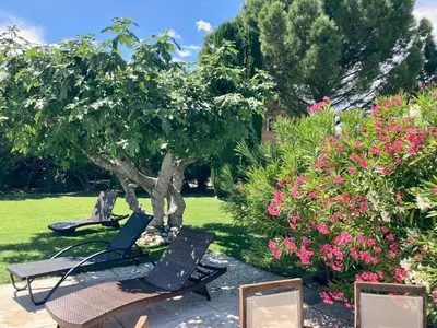 a group of chairs and flowers in a garden at Auberge de Mazan in Mazan