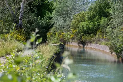 a view of a river with trees and a fence at El Sama-In , Piscine chauffée in LʼIsle-sur-la-Sorgue