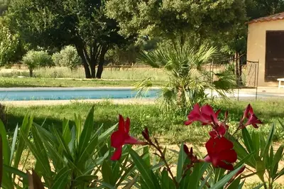 a group of red flowers in front of a body of water at Coin de paradis en Provence in Saint-Cannat