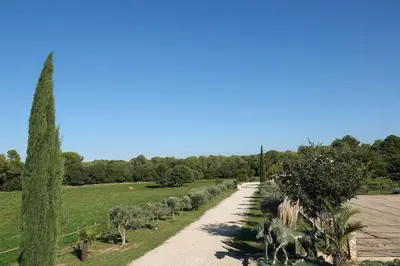 a path through a park with trees and a statue at Coin de paradis en Provence in Saint-Cannat