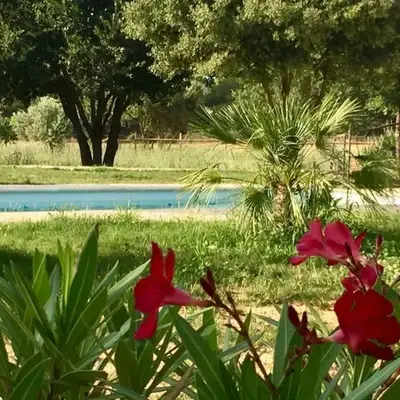 Coin de paradis en Provence