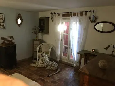 a zebra laying on the floor in a room at FLC - Large Charming House - Swimming Pool in Lambesc