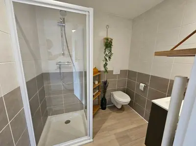 a bathroom with a shower and a toilet at 104 Douce Provence au calme face à la piscine in Éguilles