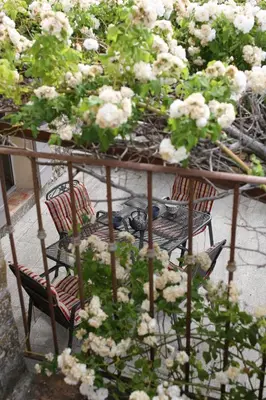 a table with two chairs and white flowers at La Paradisse – exceptional Provençal farmhouse (18th century) in Blauvac