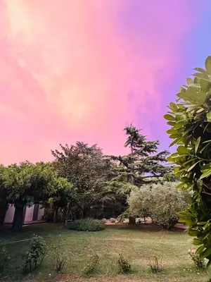 a field of purple flowers with a bench in a park at VILLA DE LA ROQUE in Eygalières