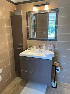 a bathroom with a sink and a mirror at LUBERON SOLEIL ET OLIVIERS in Les Taillades