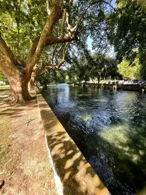 a river with some trees and water and some trees at Jacuzzi & Terrasse en bord de rivière in Fontaine-de-Vaucluse