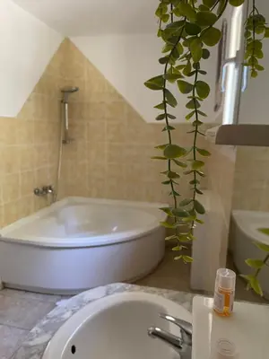 a bathroom with a white tub and a plant at Villa provençale 8 personnes in Ventabren