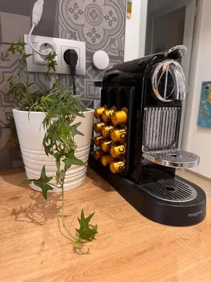 a toaster sitting on a table next to a plant at Villa entière au calme avec piscine partagée et jardin in Pertuis