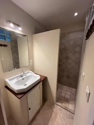 a bathroom with a sink and a shower at The Garden View in Le Thor