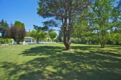 a tree in the middle of a grass field at The Garden View in Le Thor