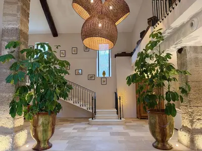 a hallway with two potted plants and a chandelier at Domaine de Valloncourt in Cheval-Blanc