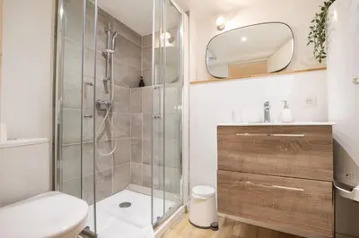 a bathroom with a shower and a toilet and a sink at La Venise Provençale - Hypercentre - Wifi in LʼIsle-sur-la-Sorgue