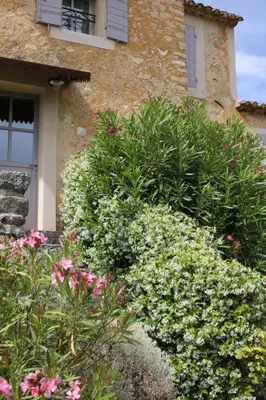 a garden of flowers in front of a building at La Petite Paradisse – mas provençal exceptionnel in Blauvac