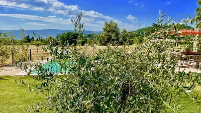 a bush with white flowers in a yard at La Belle Lumière in Saint-Saturnin-les-Apt
