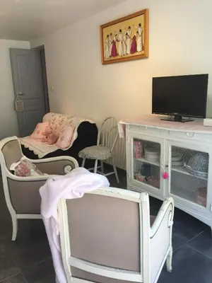 a living room with a tv and chairs and a tv stand at Chambre d hôte gite Au fond du jardin in Saint-Saturnin-lès-Avignon