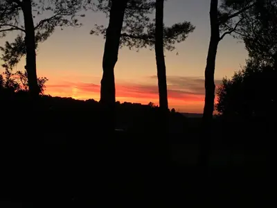 a sunset with trees in the foreground at Maison de Golfeur in Mallemort