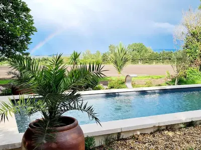 a potted plant sitting next to a swimming pool at Le Mas du Castellas 5* in Le Thor