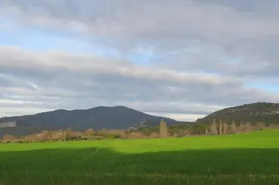 a large green field with mountains in the background at Les Tarraïettes au pied du Luberon in Lourmarin