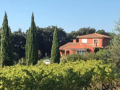 a house in the middle of a field of vines at Domaine des Lavarines in Morières-lès-Avignon