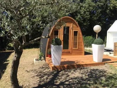 a small wooden cabin with potted plants in a yard at Domaine des Lavarines in Morières-lès-Avignon