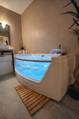 a bathroom with a tub and a plant in it at Terrasse & Spa dans Aix Hypercentre in Aix-en-Provence