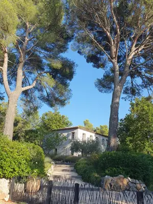 a house in the middle of two trees at Lou Pantai, Bed and breakfast, small double Bedroom in Aix-en-Provence