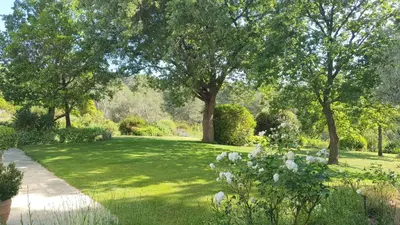 a garden with trees and grass and flowers at Lou Pantai, Bed and breakfast, small double Bedroom in Aix-en-Provence