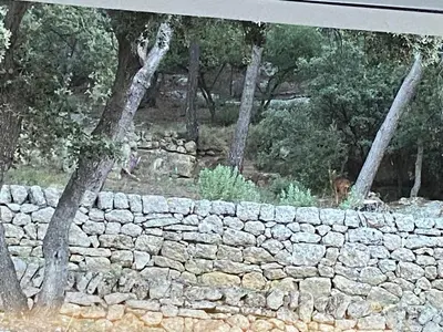 a stone wall with trees in the background at LA BASTIDETTE PROVENçALE in Jouques