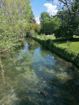 a river with a duck in the middle of it at Escapades L'Isloises au cœur de L'Isle-sur-la-Sorgue. in LʼIsle-sur-la-Sorgue