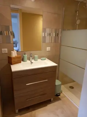 a bathroom with a sink and a toilet and a mirror at Les Myosotis Cavaillon/Petit Luberon in Cavaillon