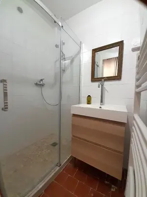 a bathroom with a shower and a sink and a mirror at L'atelier au coeur du village in Roussillon